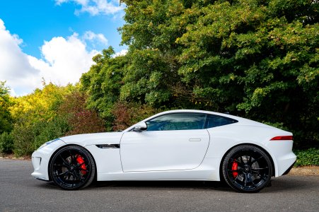 IMG_1035.jpeg IMG_1035.jpeg