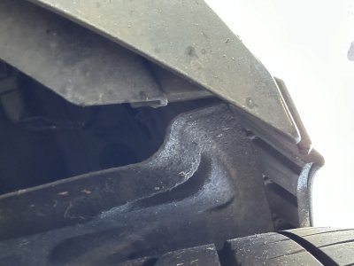 IMG_2135.jpeg IMG_2135.jpeg